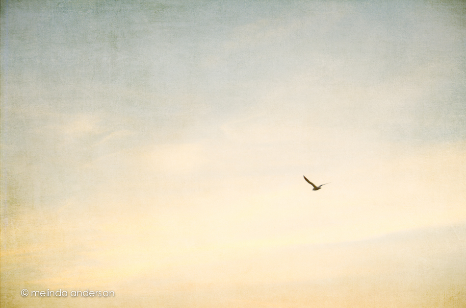 19Jan2013-6387-Edit-Edit