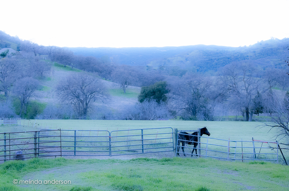 9Feb2013-7450-Edit-2