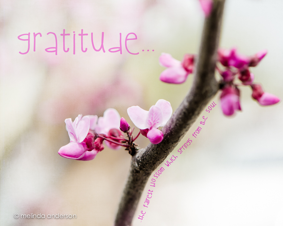 19Mar2013-9646-Edit-Edit-2