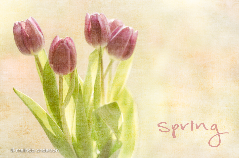 23Mar2013-9785-Edit-2