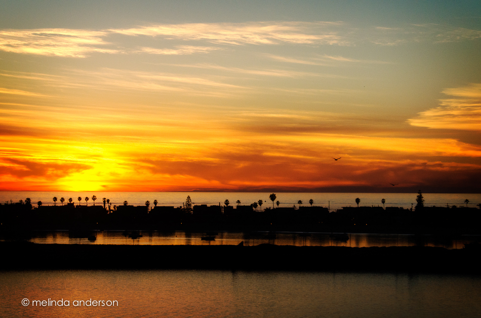 San Diego-9095-Edit
