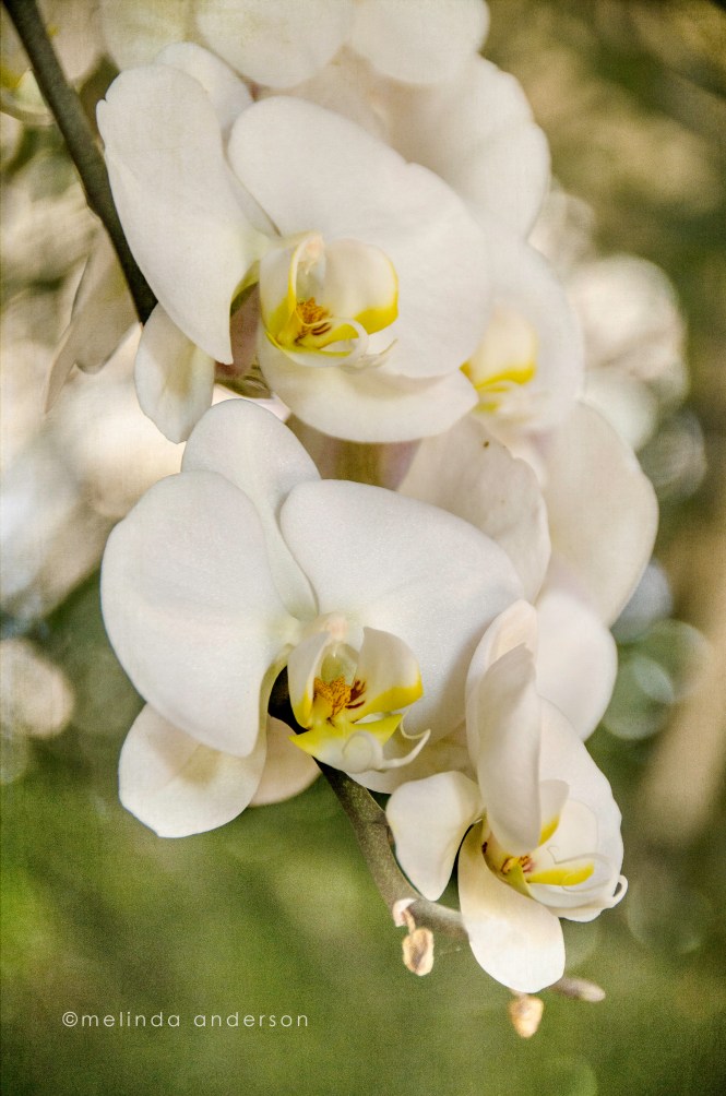 SanDiegoMar2013-8490-Edit