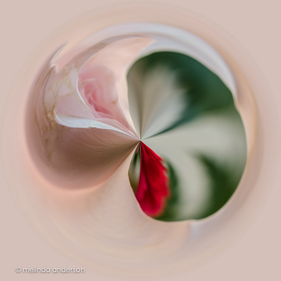 11May2013-1190-Edit-2