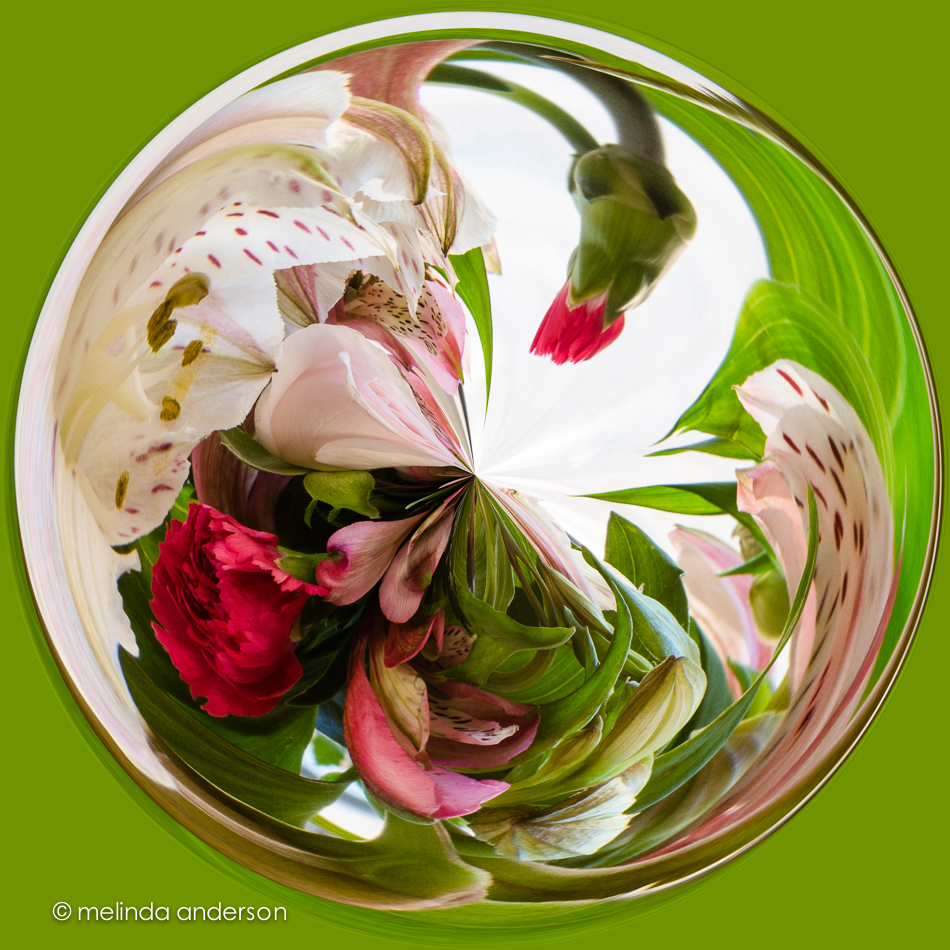 11May2013-1201-Edit-Edit