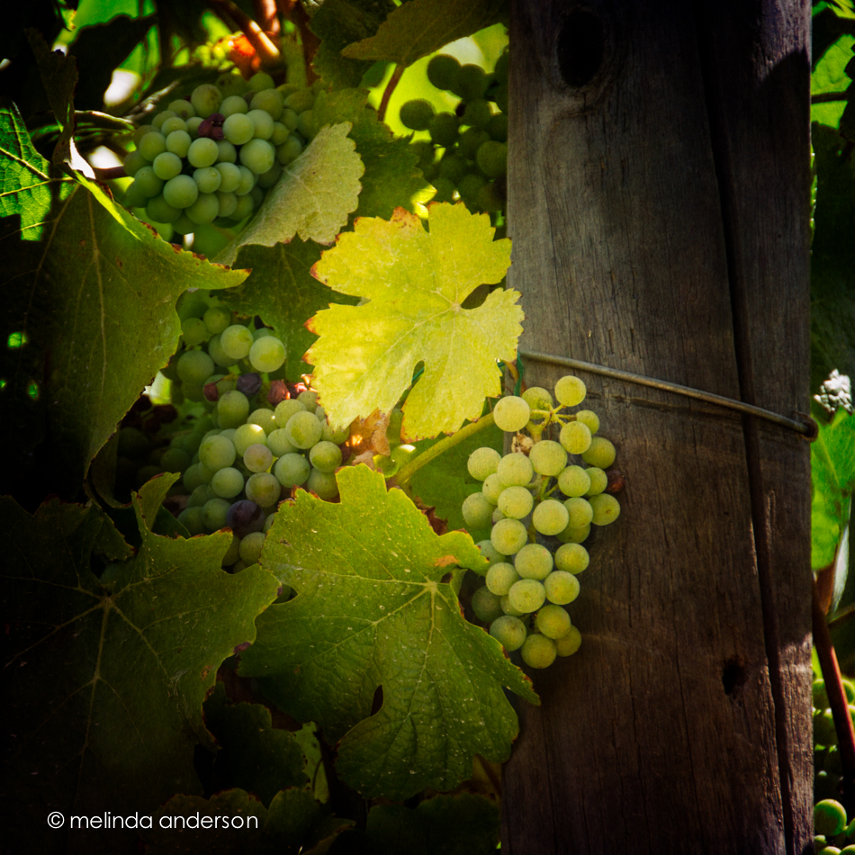 10July2013-4009-Edit