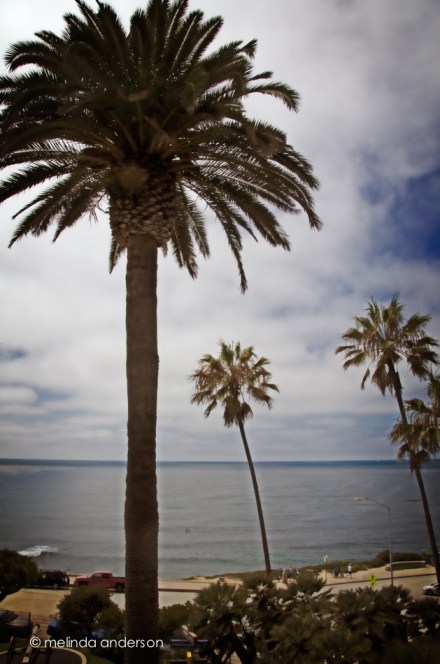 17Aug2013-4380-Edit-Edit