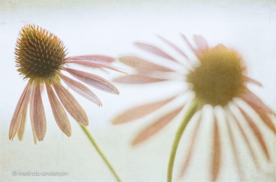 18Sept2013-5400-Edit