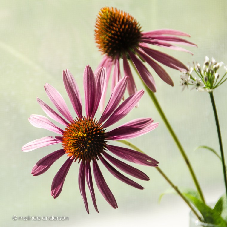 18Sept2013-5419-Edit