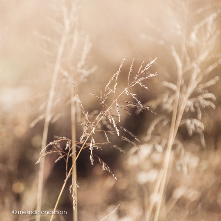 14Oct 2013-6359-Edit