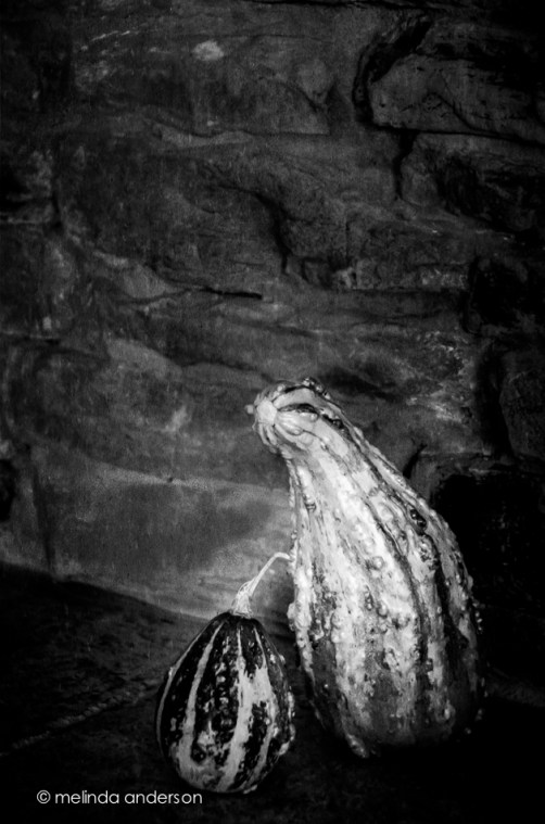 28Sept2013-5975-Edit