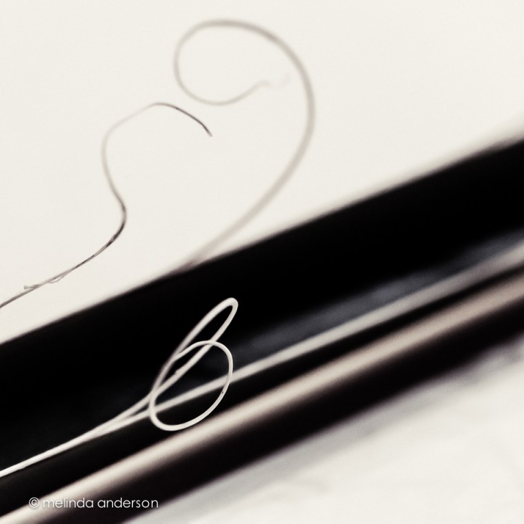 Bendy 23Nov2013-9533