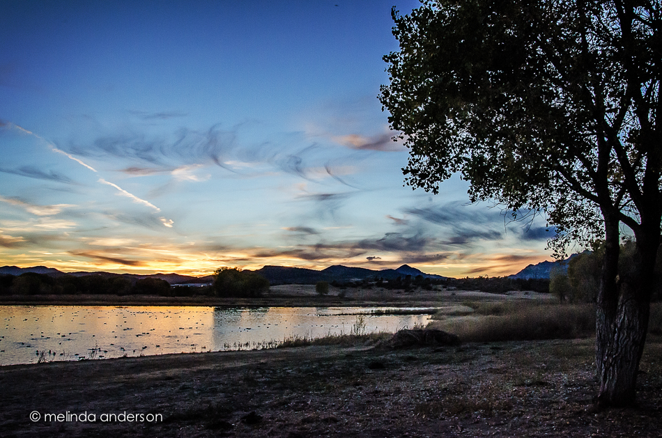 7Nov2013-8056-Edit-2