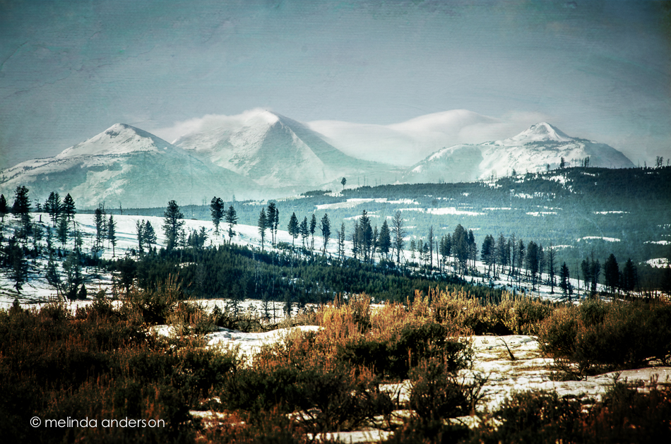 Thanksgiving2013-9847-Edit