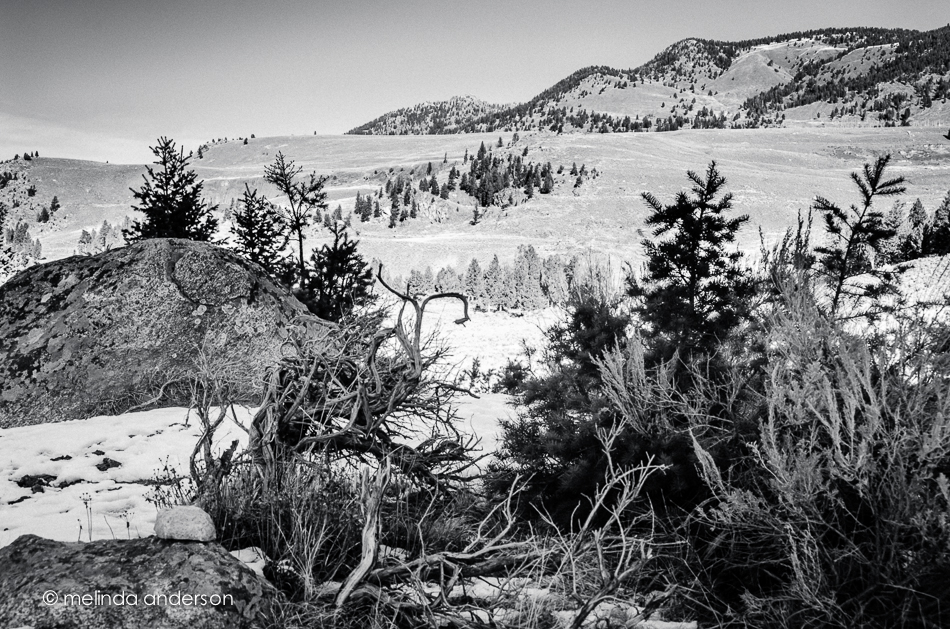 Thanksgiving2013-9859