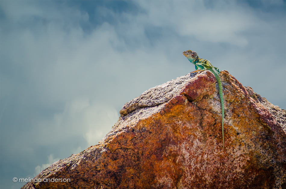 2May2014-6685-Edit-2