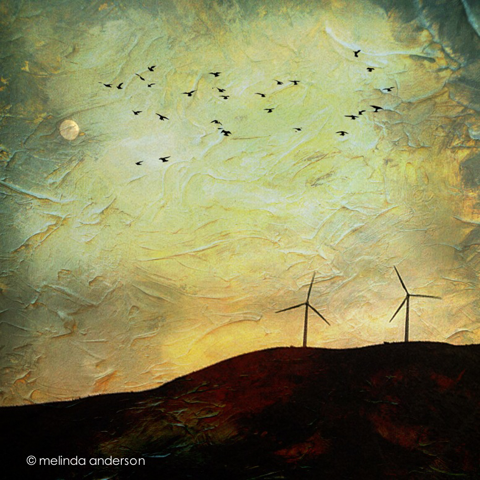 Photo May 10- 9 43 20 PM