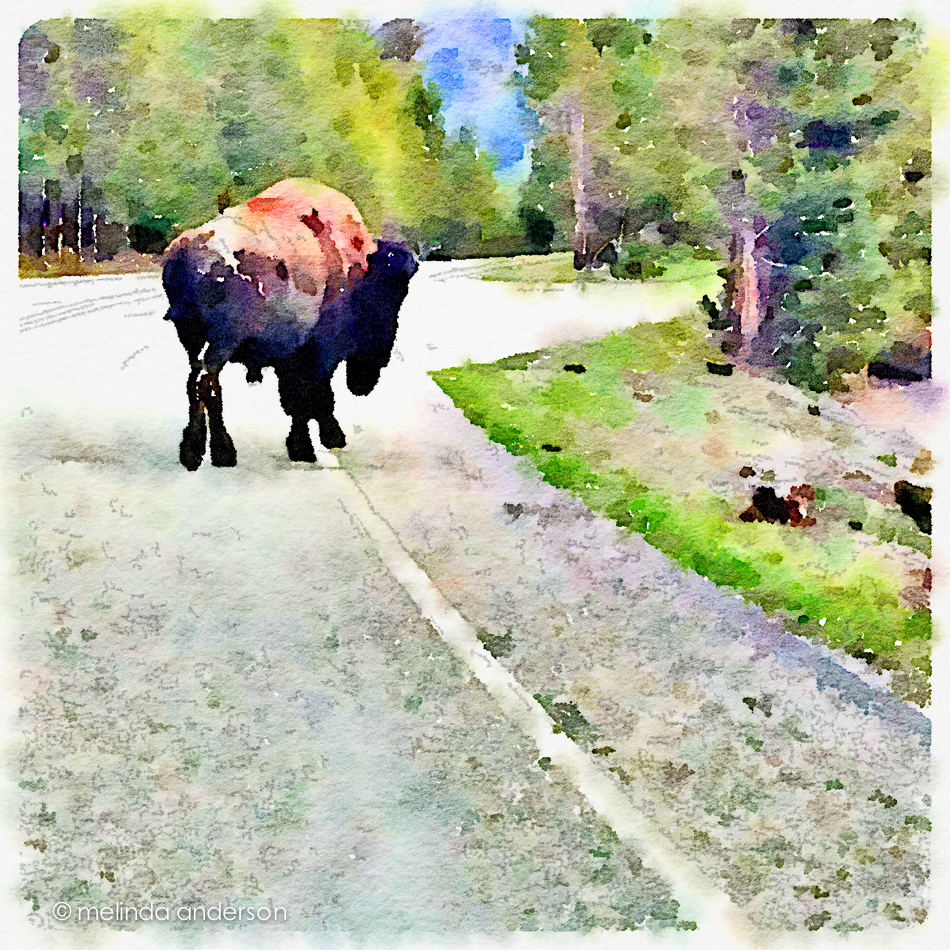 Painted in Waterlogue