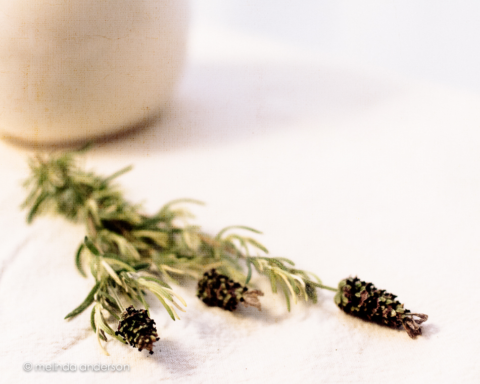 10June2014-0079-Edit-2