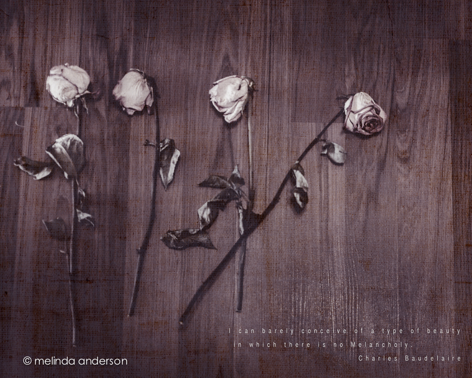 10June2014-0081-Edit