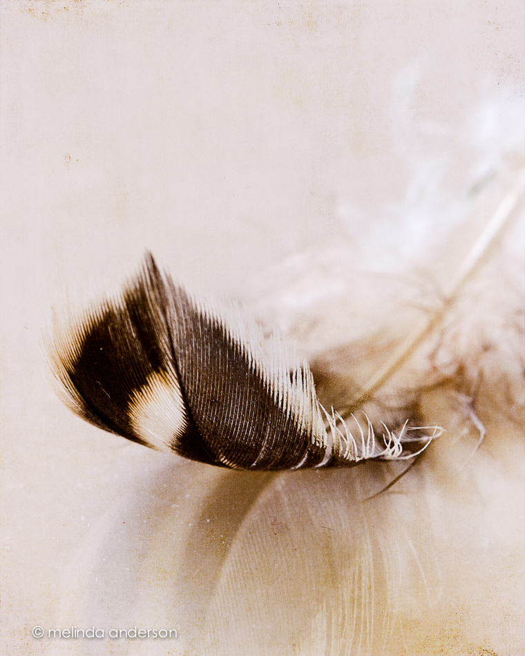 12June2014-0093-Edit