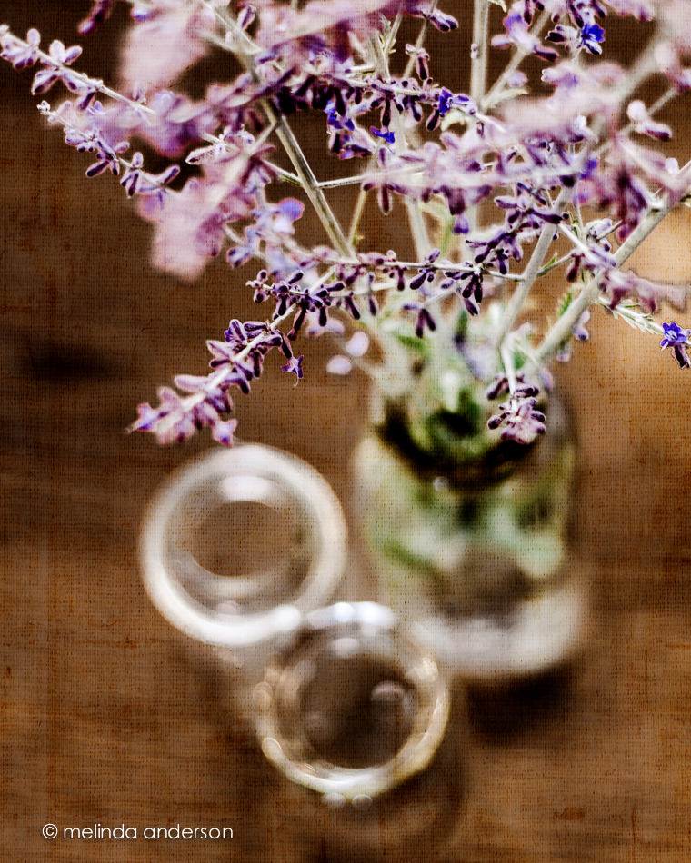 16June2014-0151-Edit