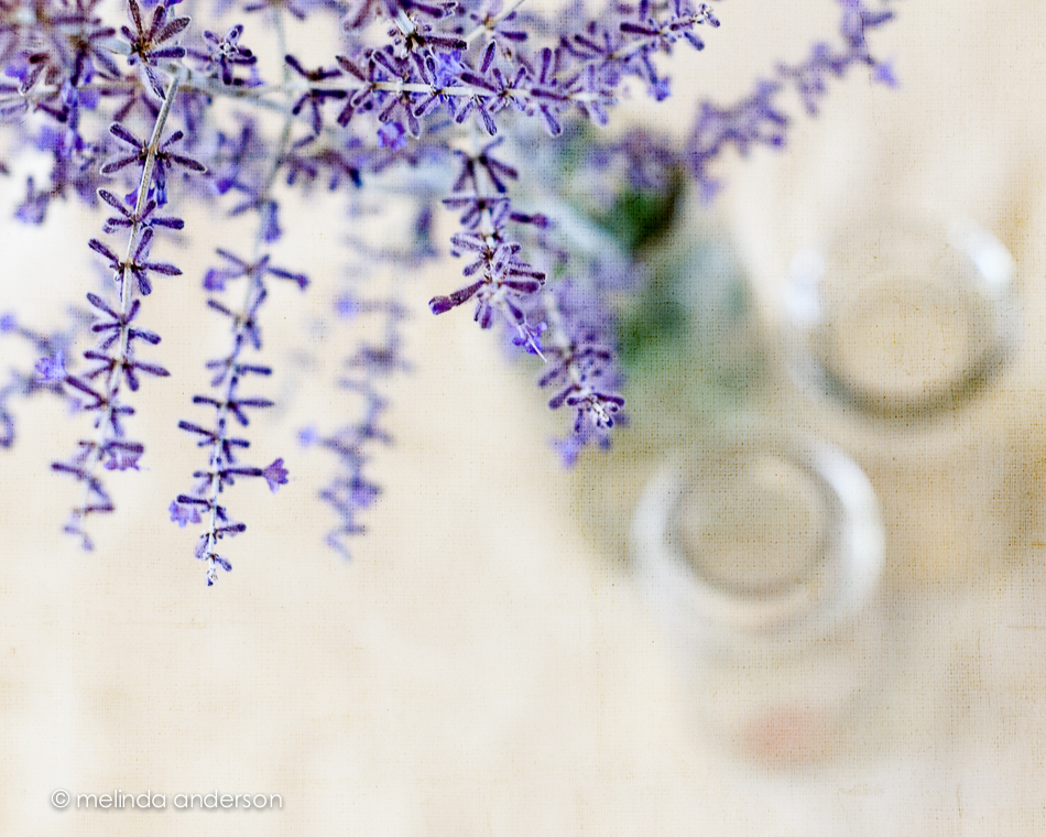 16June2014-0163-Edit