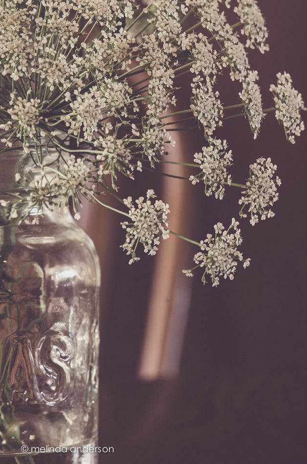 20140623-DSC_0237_melinda_anderson