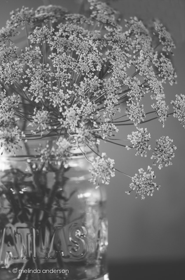 20140623-DSC_0240_melinda_anderson-Edit