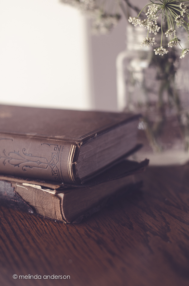 20140623-DSC_0275_melinda_anderson