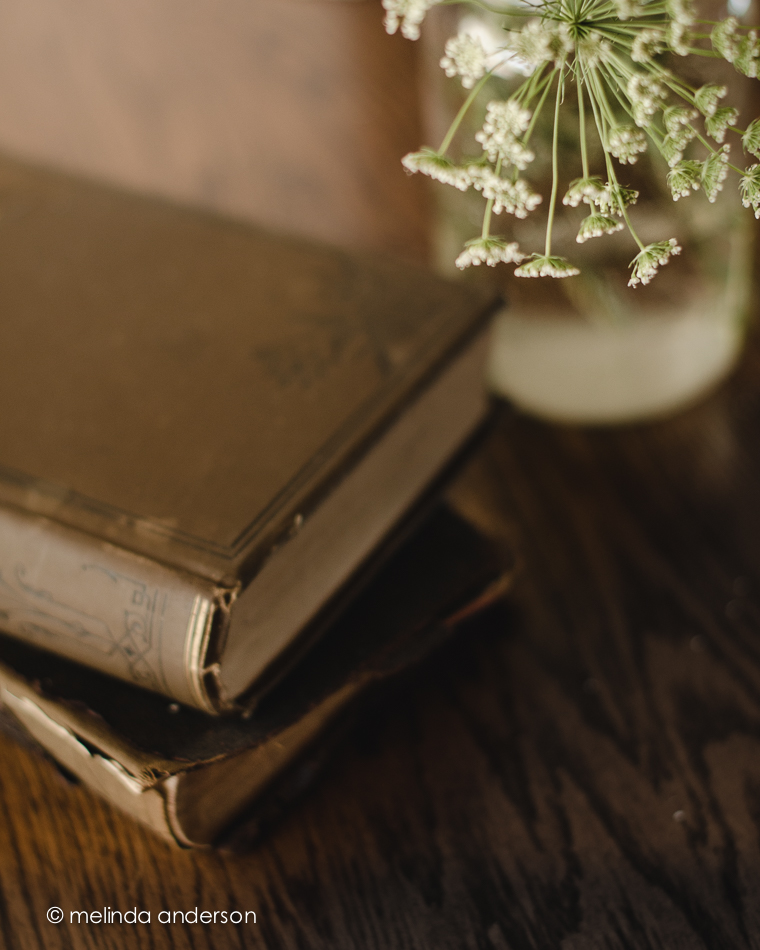 20140623-DSC_0279_melinda_anderson