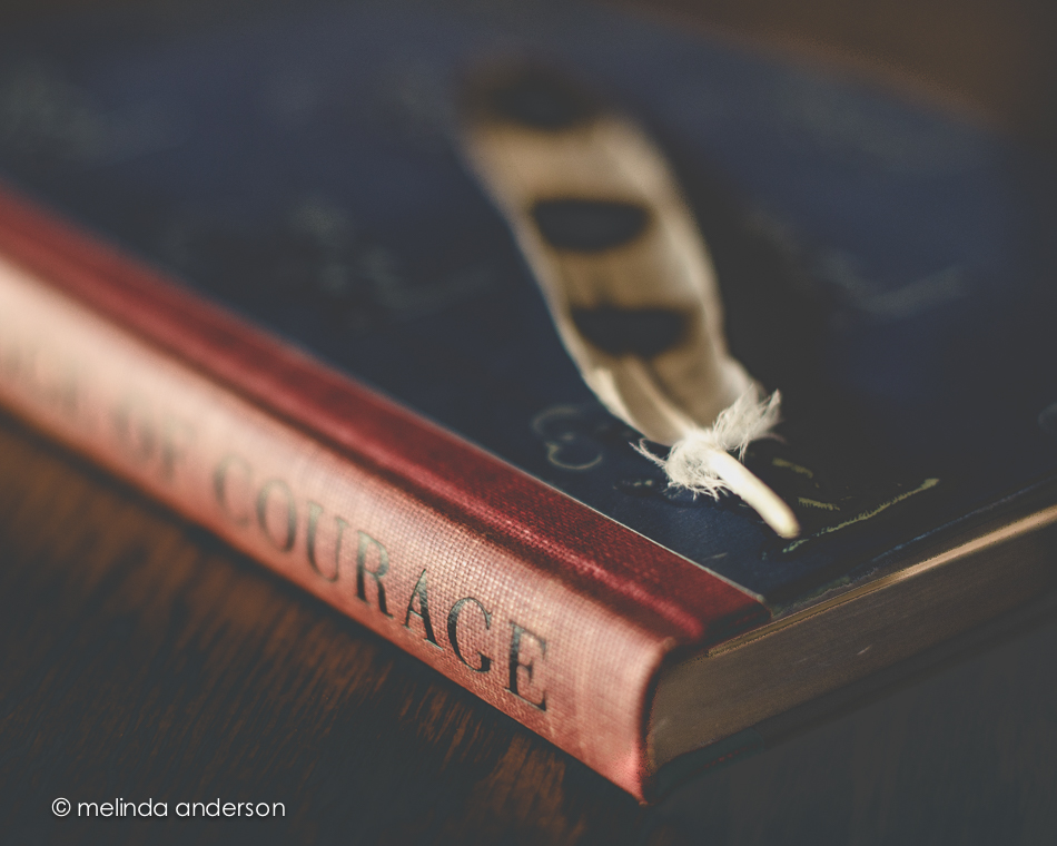 20140627-DSC_0482_melinda_anderson