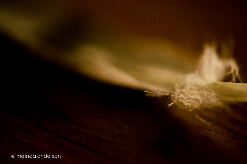 20140627-DSC_0517_melinda_anderson