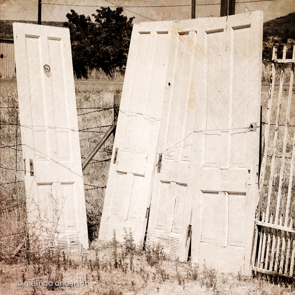 20140627-DSC_0609_melinda_anderson-Edit