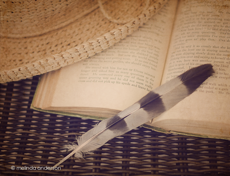 20140630-DSC_0634_melinda_anderson-Edit