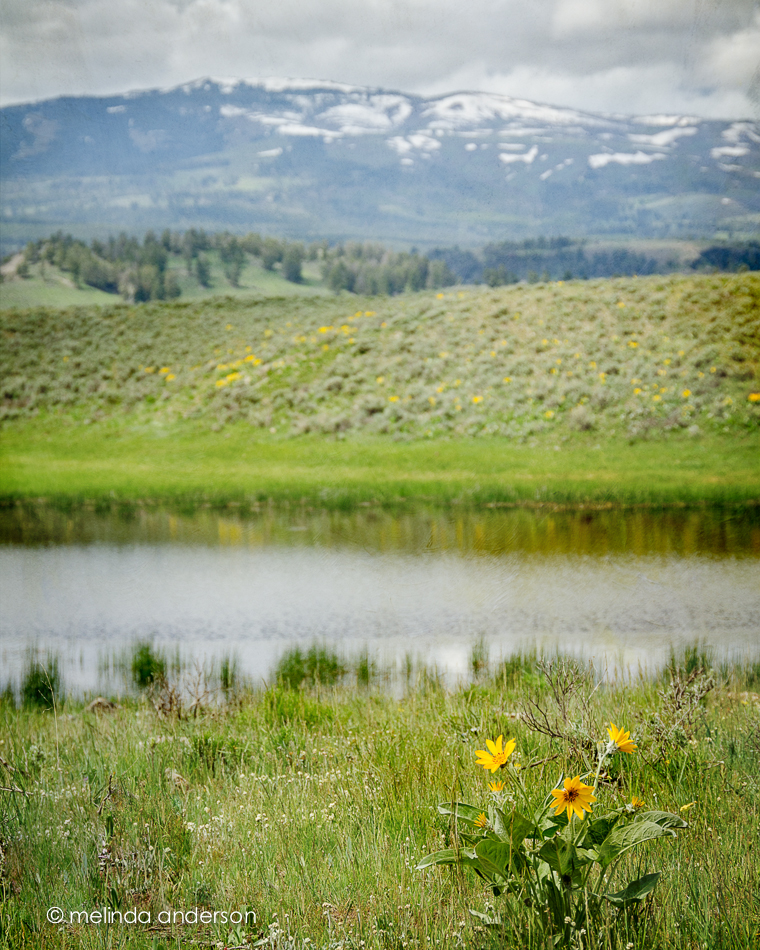 31May2014-9911-Edit-Edit