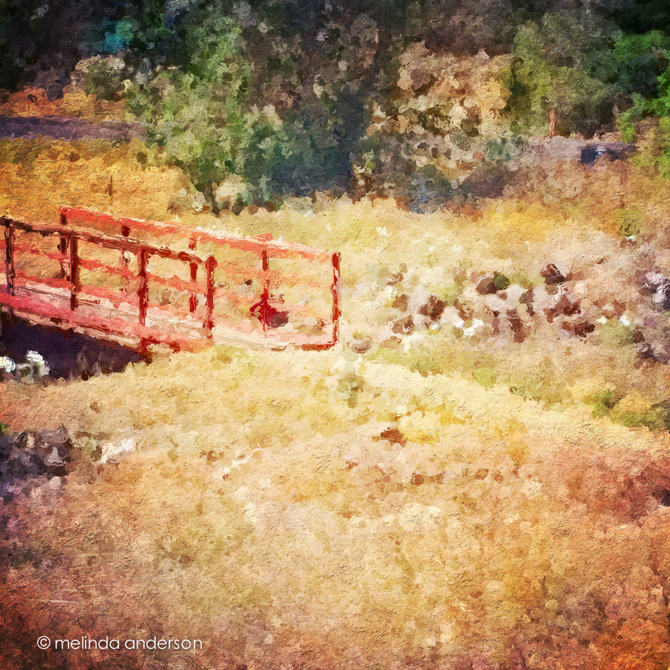 Photo Jun 10- 11 23 03 AM