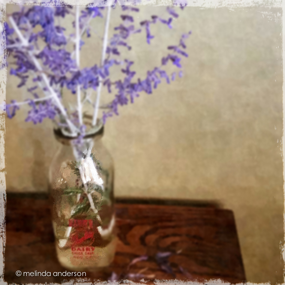 Photo Jun 17- 8 56 49 PM