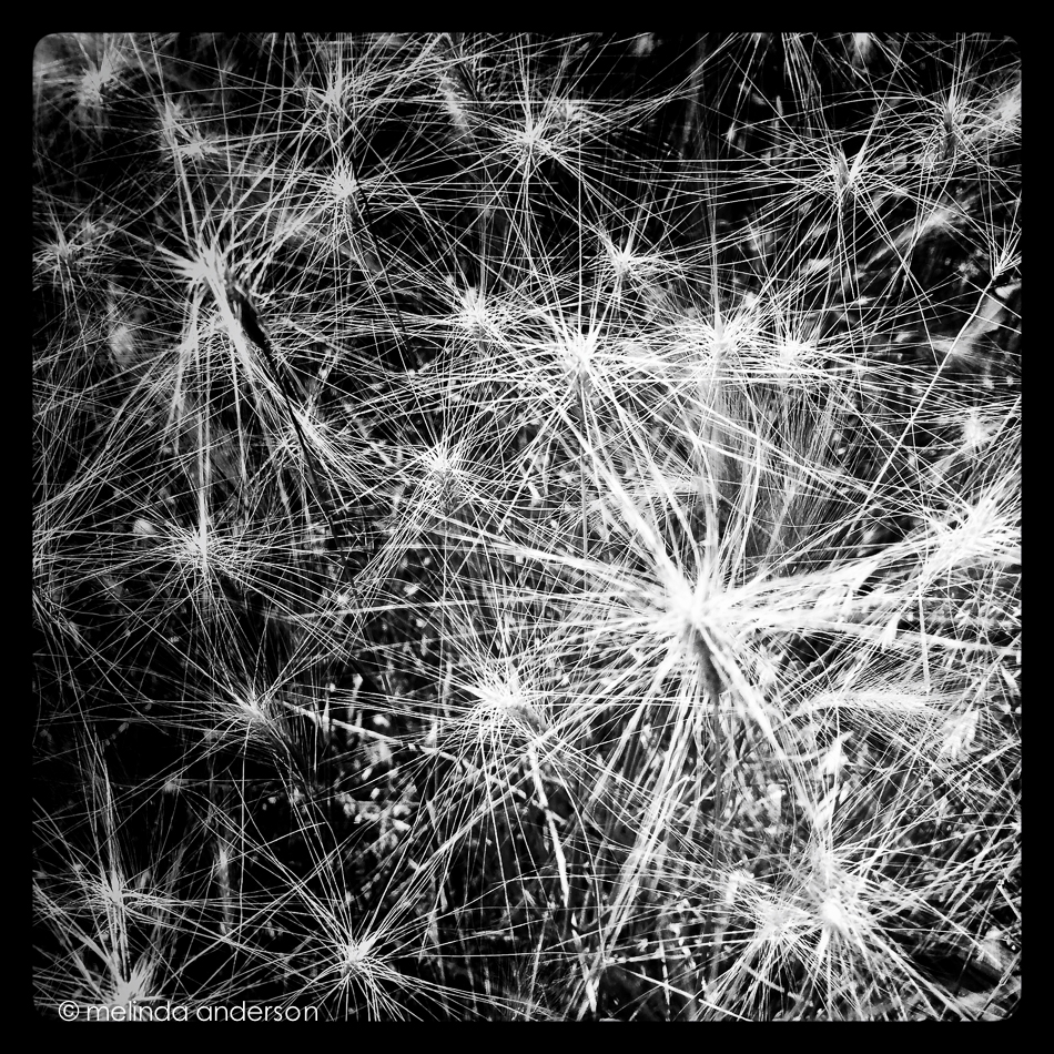 Photo Jun 24- 10 24 36 AM