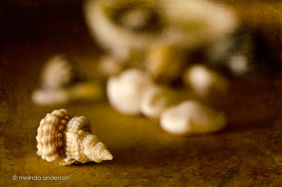 20140707-DSC_0736_melinda_anderson-Edit