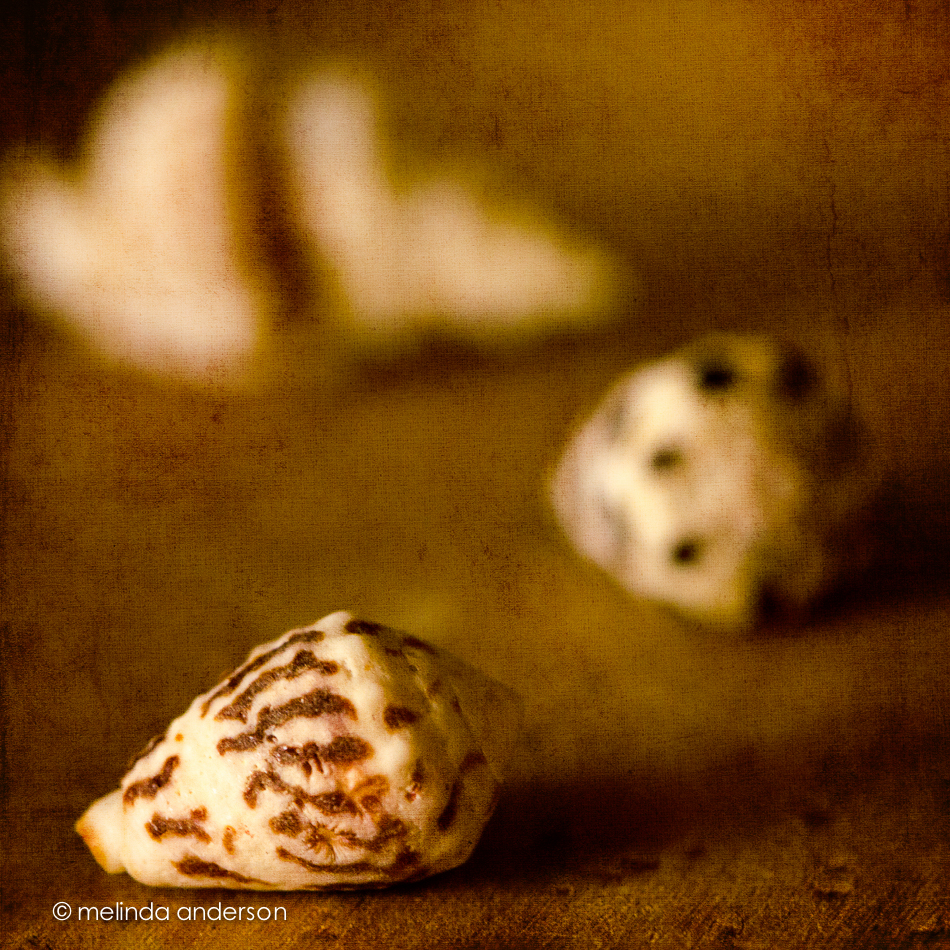 20140707-DSC_0743_melinda_anderson-Edit