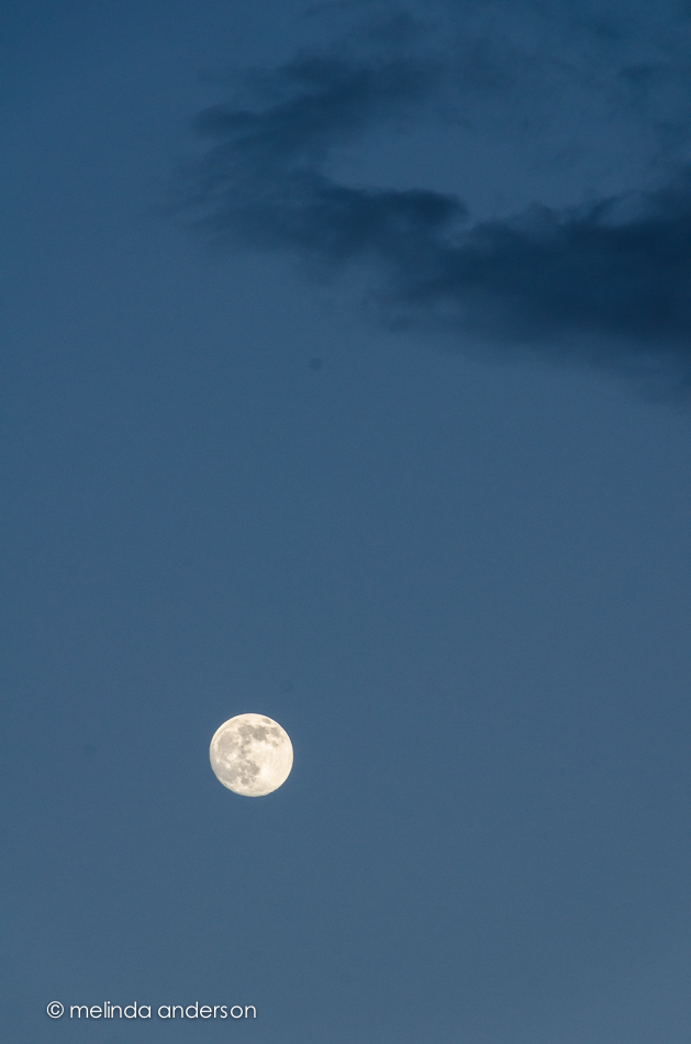 20140710-DSC_0880_melinda_anderson