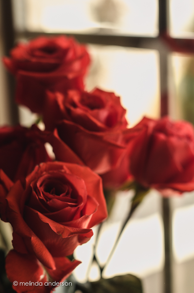 20140711-DSC_0927_melinda_anderson