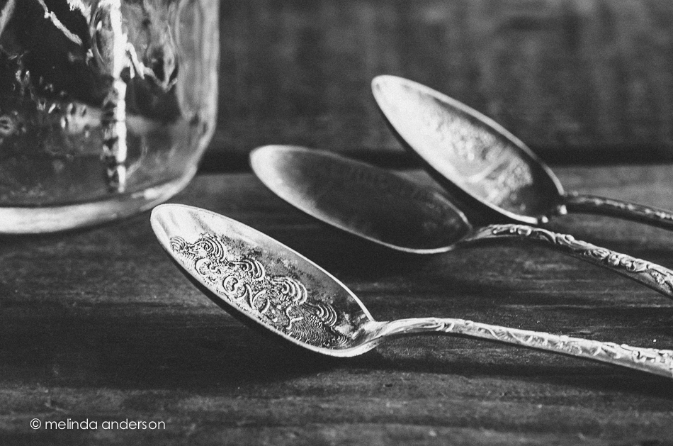 20140728-DSC_2112_melinda_anderson