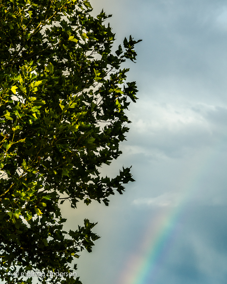 20140731-DSC_2491_melinda_anderson