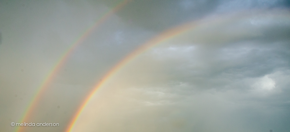 20140810-DSC_2985_melinda_anderson