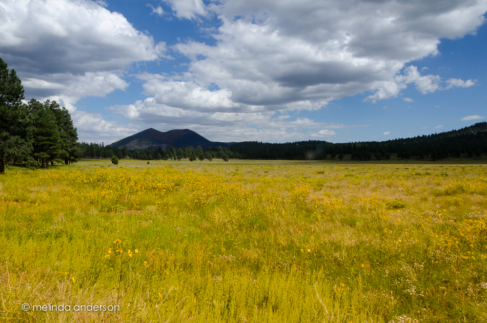 20140823-DSC_3233_melinda_anderson