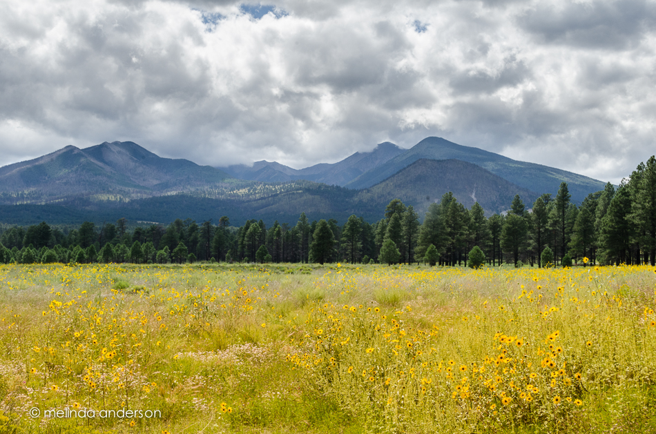 20140823-DSC_3269_melinda_anderson-Edit