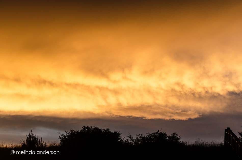 20140825-DSC_3437_melinda_anderson