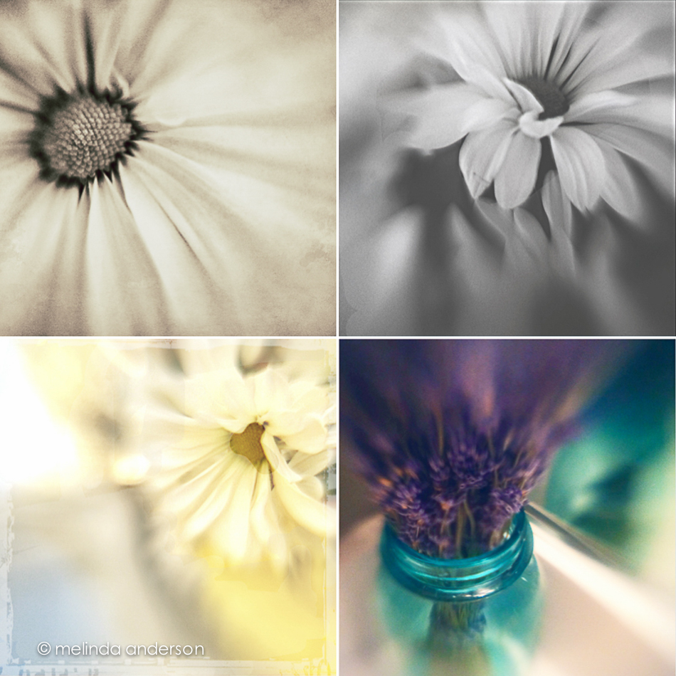 lensbaby_layout