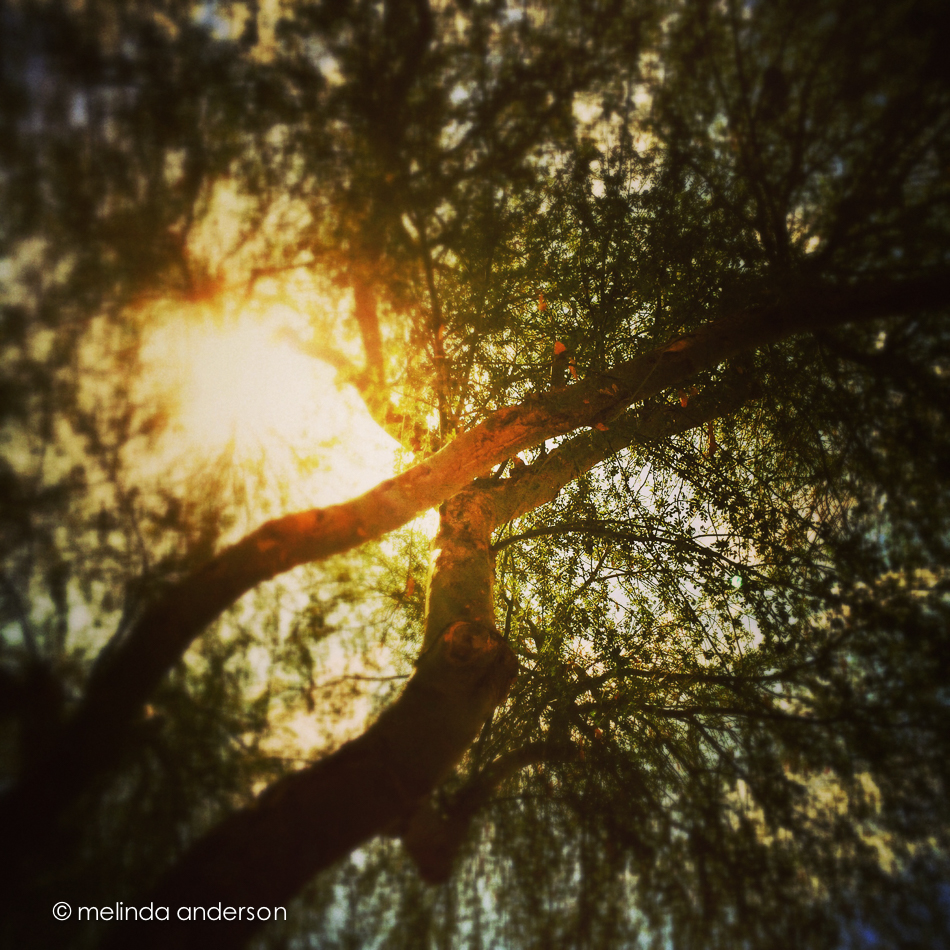 Photo Jul 17- 9 48 25 AM